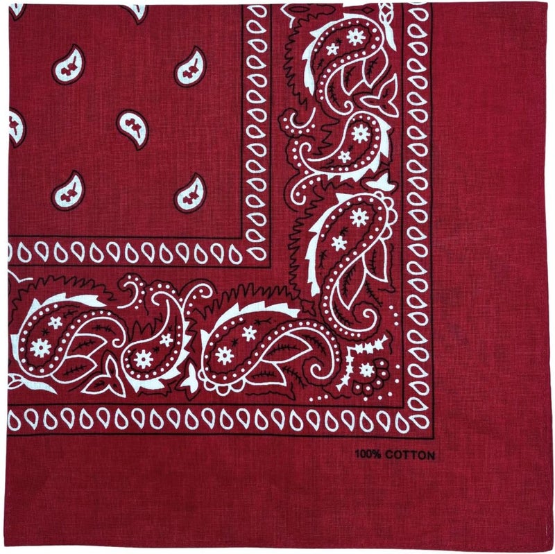 MD Style 6 PCS 100% Cotton Bandanas 22” x 22" for Men & Women Paisley Handkerchief Headband Scarf Bandana - Image 2